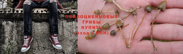 альфа пвп Белокуриха